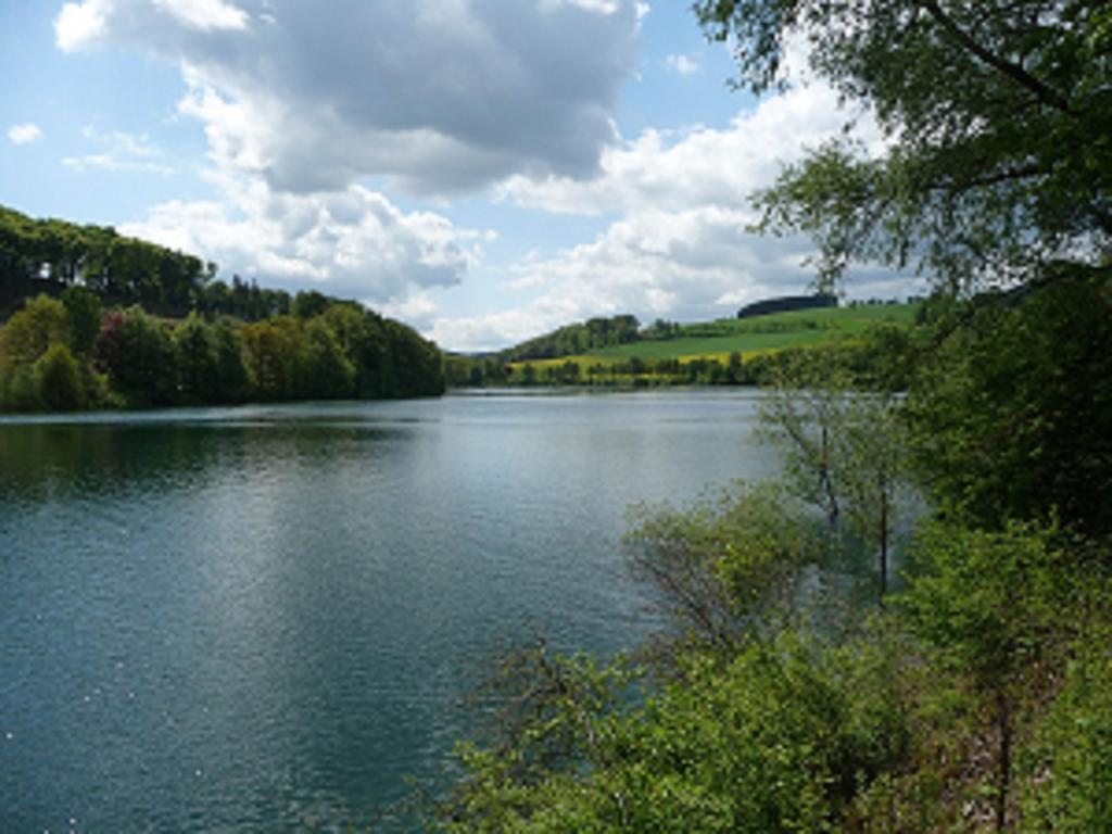 שמאלנברג Haus Oberkirchen Naehe Winterberg Skiliftkarussell חדר תמונה